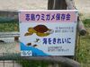 �C�T���z������r�[�`�B�����������Ă��܂��B