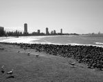 Burleigh